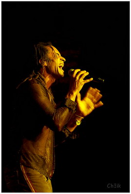 concert yannick noah zenith paris 