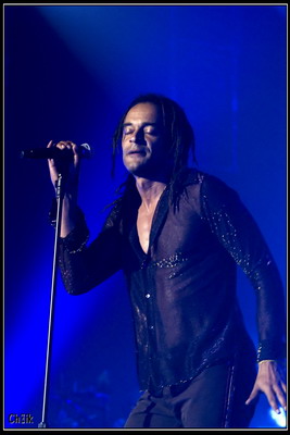 concert yannick noah zenith paris 