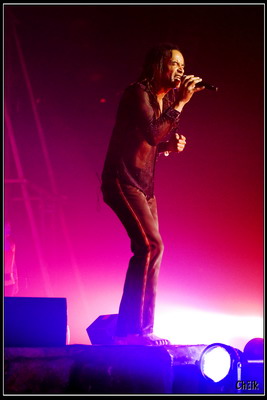 concert yannick noah zenith paris 