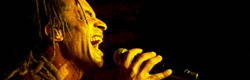 concert noah zenith paris